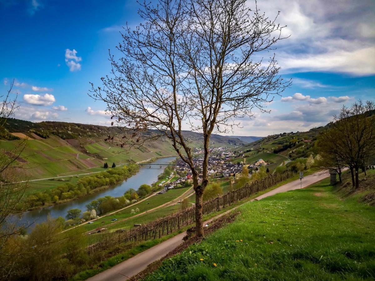 Weinhaus Burg-Schneider Hotel Reil Buitenkant foto